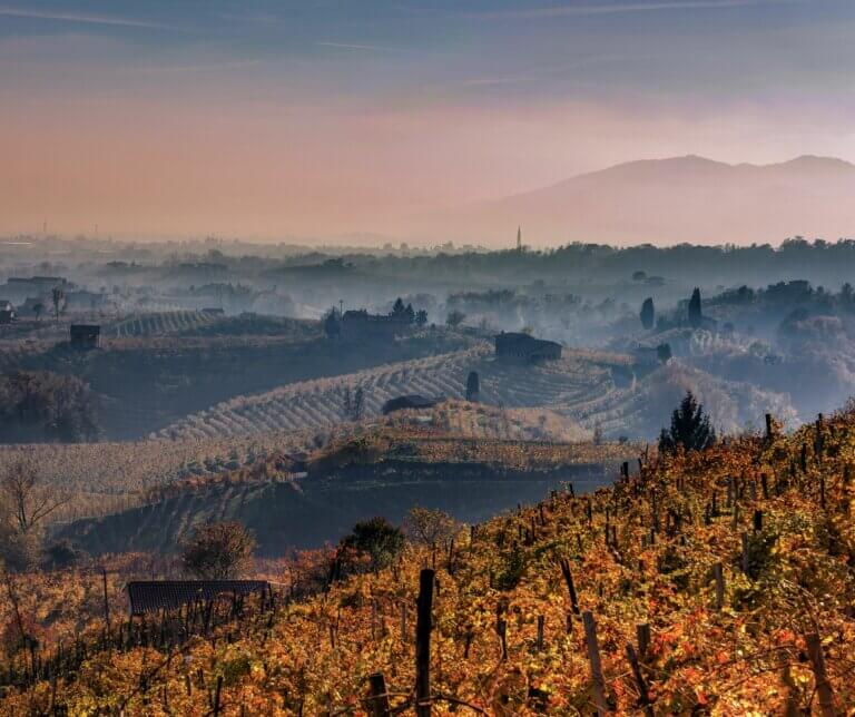 Colline del Prosecco